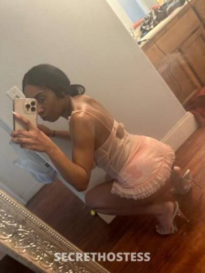 Honey 22Yrs Old Escort Sacramento CA Image - 6