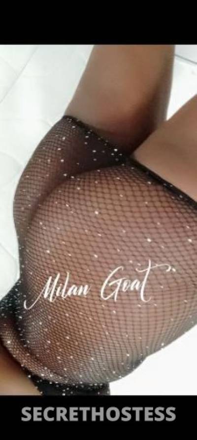 Milan 26Yrs Old Escort 160CM Tall Wilmington DE Image - 11