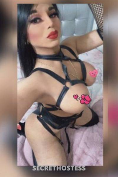 Venus 21Yrs Old Escort 170CM Tall Cleveland OH Image - 6