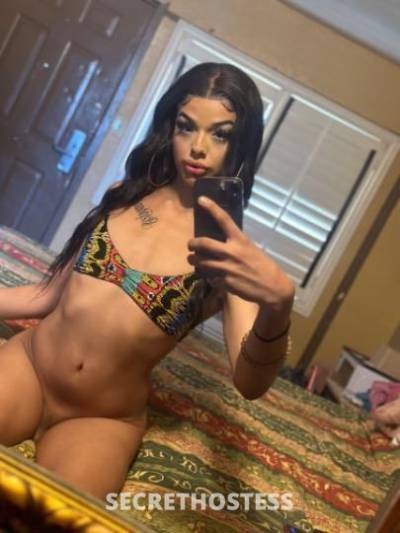 19Yrs Old Escort Concord CA Image - 0