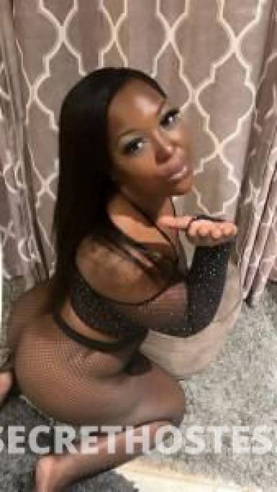 Angel 25Yrs Old Escort North Bay CA Image - 2