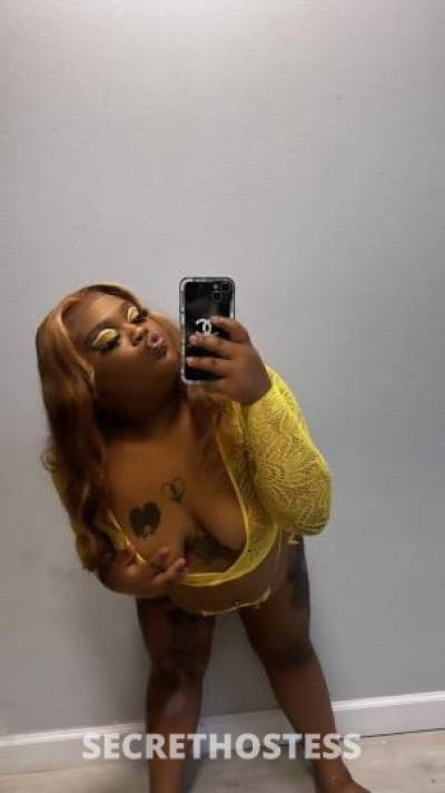 Bambi 24Yrs Old Escort New Orleans LA Image - 6