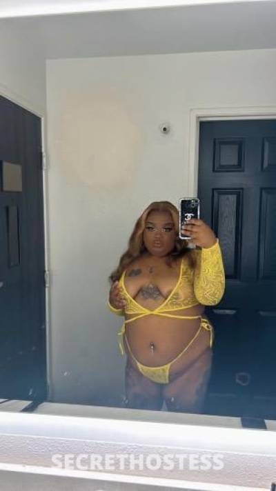 Bambi 24Yrs Old Escort New Orleans LA Image - 8