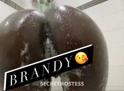 Brandy 24Yrs Old Escort 165CM Tall Oakland CA Image - 0