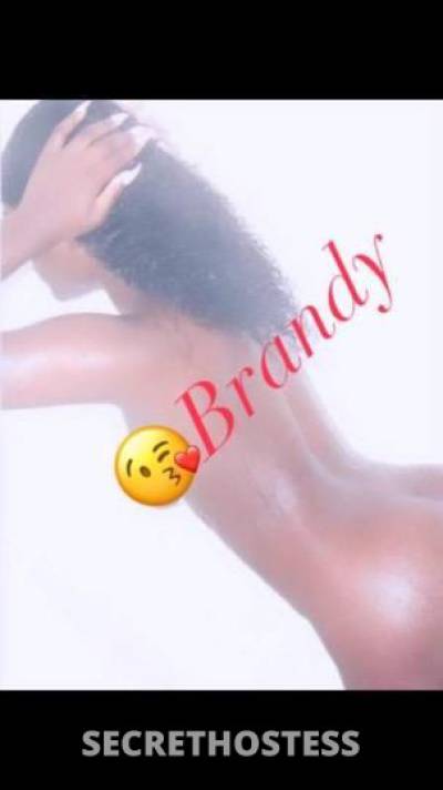 Brandy 24Yrs Old Escort 165CM Tall Oakland CA Image - 3