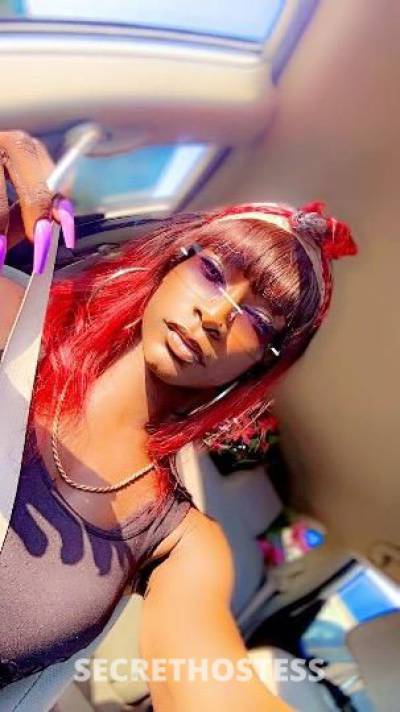 Coco 30Yrs Old Escort Columbia SC Image - 2