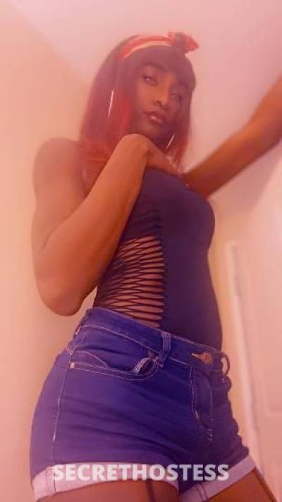 Coco 30Yrs Old Escort Columbia SC Image - 3