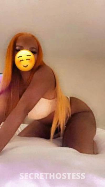 Layla 25Yrs Old Escort Toledo OH Image - 2