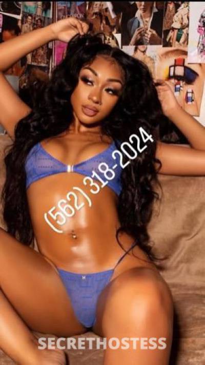 Mia 26Yrs Old Escort Los Angeles CA Image - 1