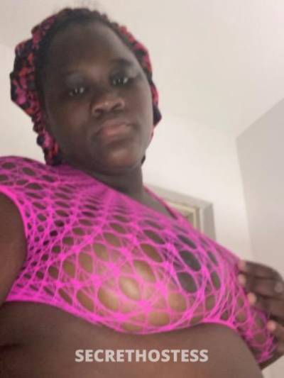 24Yrs Old Escort Fort Lauderdale FL Image - 1