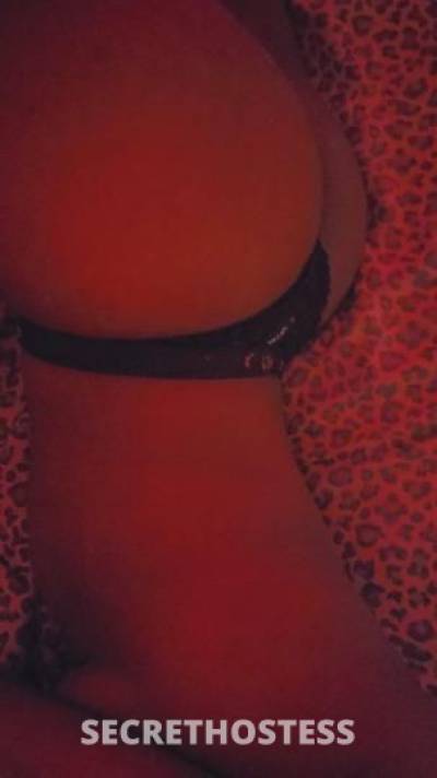 26Yrs Old Escort Bronx NY Image - 1