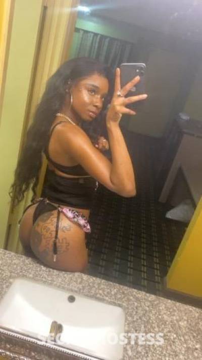 26Yrs Old Escort New Orleans LA Image - 1