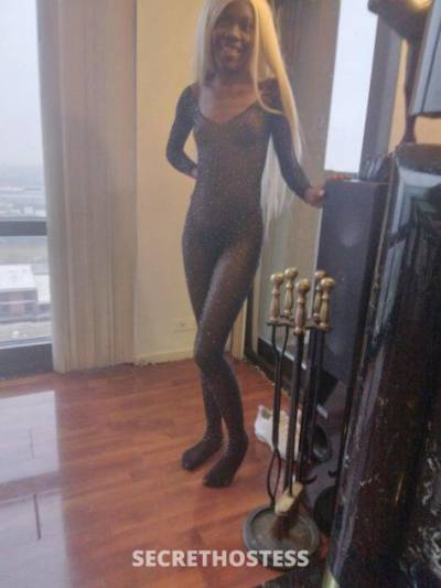 Sasha 21Yrs Old Escort 154CM Tall Fort Myers FL Image - 1