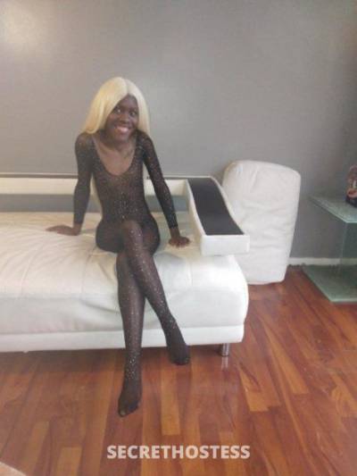 Sasha 21Yrs Old Escort 154CM Tall Fort Myers FL Image - 2