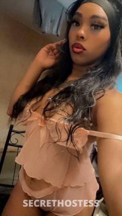 Skittles 25Yrs Old Escort Toledo OH Image - 1