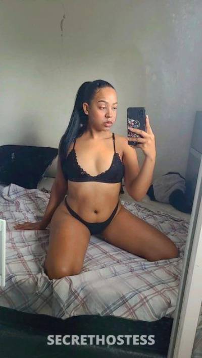 25 year old Hispanic Escort in Tampa FL Hello my name is Steph❤️ I have a special 100 half hours