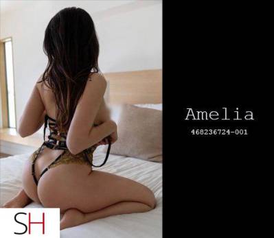 AMELIA Your 19 Yr Old COLLEGE CO-ED Brunette Perky C's Round in City of Edmonton