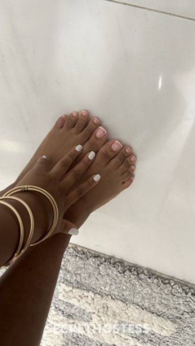 22 year old Hispanic Escort in Daytona FL giving us the pleasures we like is the meaning of life, call