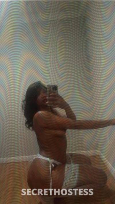 24Yrs Old Escort Houston TX Image - 2