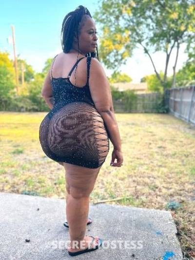 27Yrs Old Escort New Orleans LA Image - 2