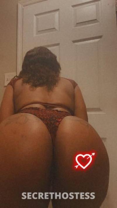 33Yrs Old Escort Tampa FL Image - 1