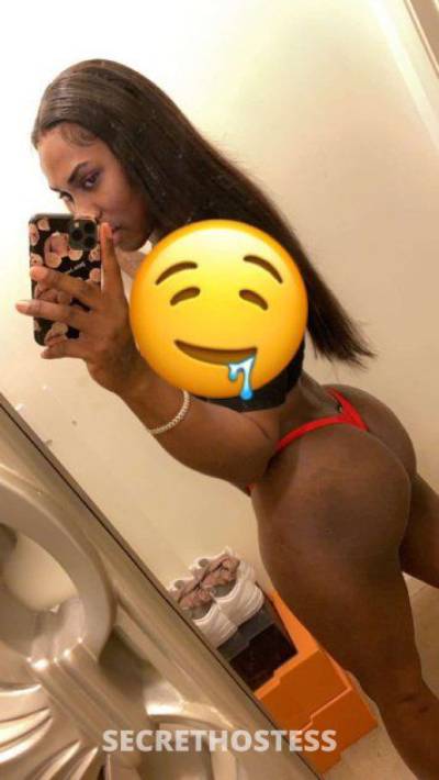 25 year old Escort in Chico CA I'm Available For Hookup? Come N Fuck Me