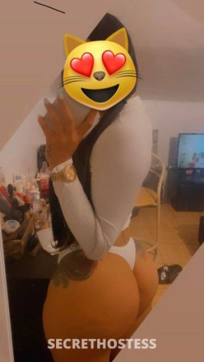 27Yrs Old Escort 170CM Tall Colorado Springs CO Image - 2