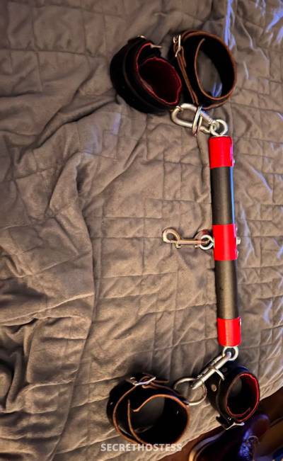 Hailey 26Yrs Old Escort 167CM Tall Pickering Image - 6