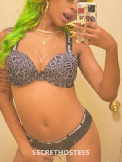 19Yrs Old Escort 167CM Tall Los Angeles CA Image - 2