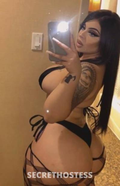 22Yrs Old Escort San Jose CA Image - 3