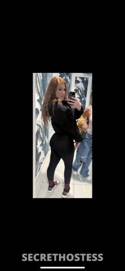 25 Year Old Escort Dallas TX Redhead - Image 5