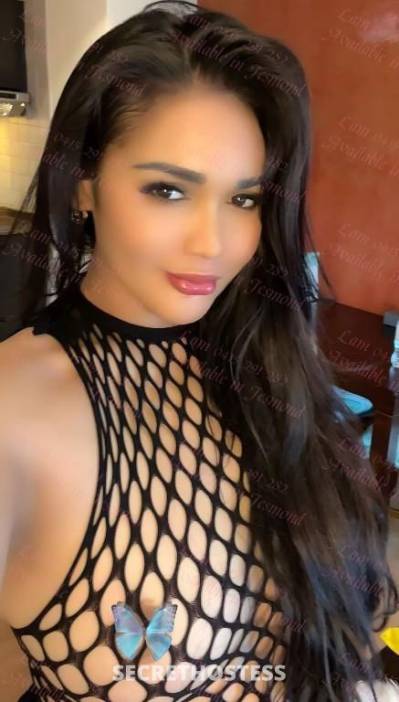 26 year old Escort in Newcastle Get Indulged with Lam's captivating intimacy