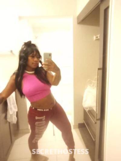 26Yrs Old Escort West Palm Beach FL Image - 2