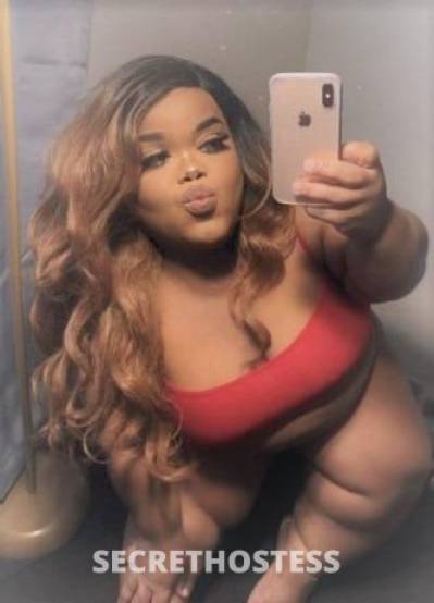 27Yrs Old Escort Sacramento CA Image - 1