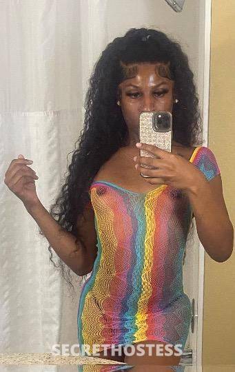 Princess 24Yrs Old Escort Norfolk VA Image - 2