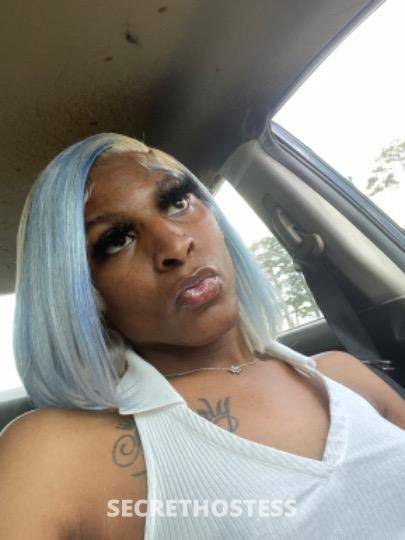 Princess 24Yrs Old Escort Norfolk VA Image - 3