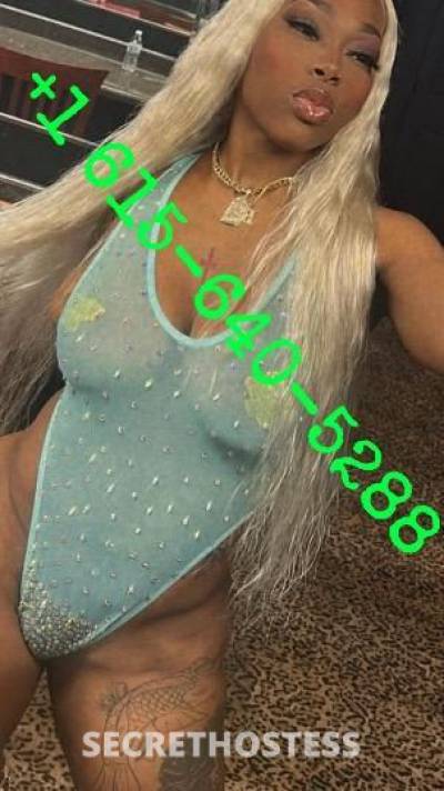 Bella 28Yrs Old Escort Memphis TN Image - 3