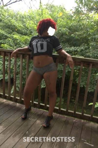 Bubblez 28Yrs Old Escort Norfolk VA Image - 5