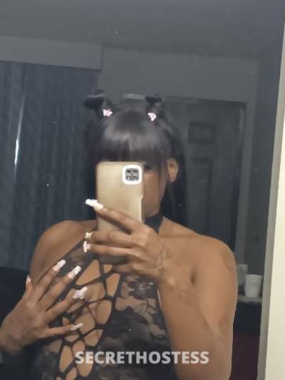 ChocolateKitty 25Yrs Old Escort Nashville TN Image - 0