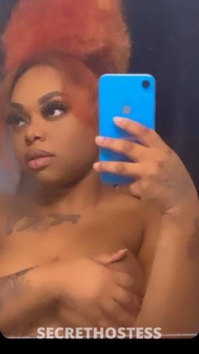 Diamond 24Yrs Old Escort Dallas TX Image - 0