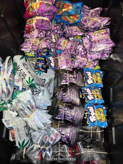 Donna 26Yrs Old Escort Size 8 167CM Tall New Orleans LA Image - 4