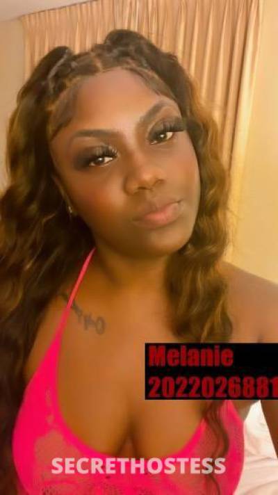 Melanie 23Yrs Old Escort Richmond VA Image - 5