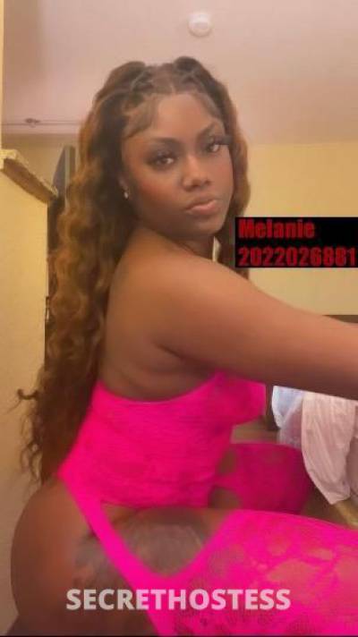 Melanie 23Yrs Old Escort Richmond VA Image - 7