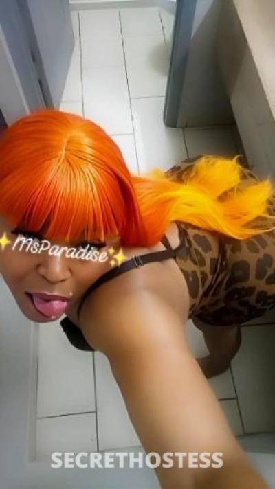 MsParadise 39Yrs Old Escort Memphis TN Image - 9