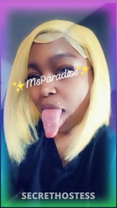 MsParadise 39Yrs Old Escort Memphis TN Image - 11