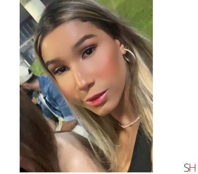 18Yrs Old Escort Minas Gerais Image - 4