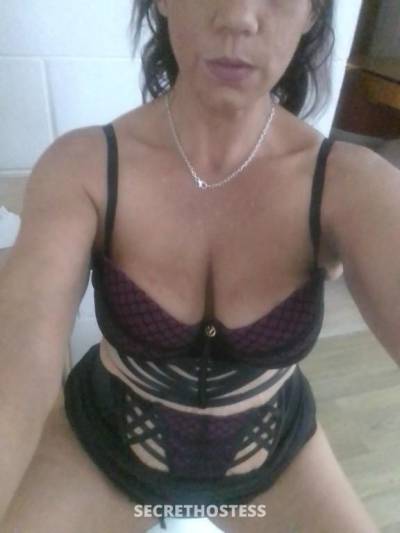 40Yrs Old Escort Size 10 170CM Tall Townsville Image - 4