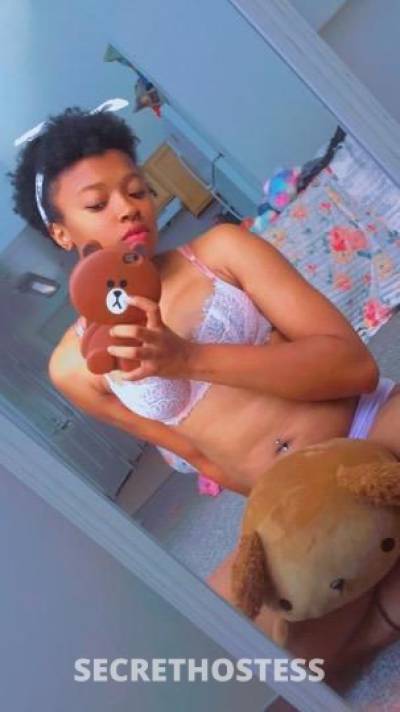 Bunny 24Yrs Old Escort Kalamazoo MI Image - 1