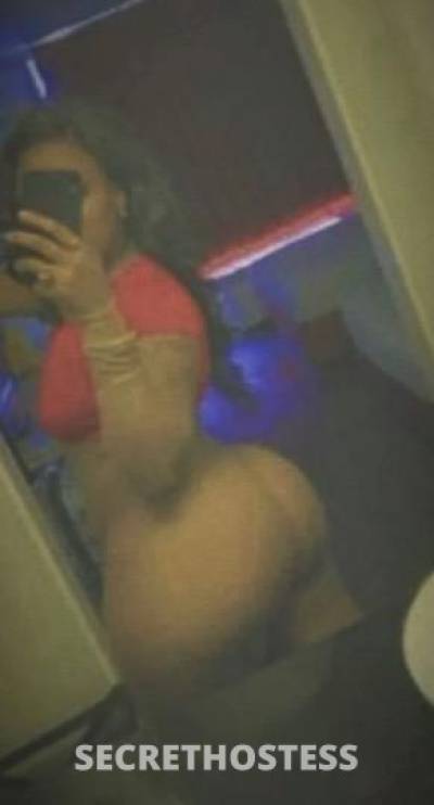 Cinnamon 26Yrs Old Escort Lake Charles LA Image - 6