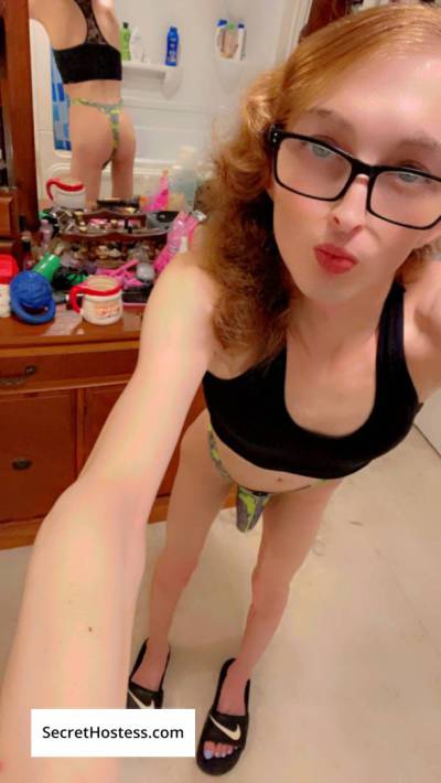 Sissyboytoy 26Yrs Old Escort 50KG 168CM Tall North Bay Image - 2